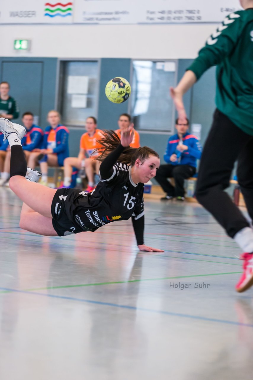 Bild 120 - Frauen OL TuS Esingen - SG Niendorf/Wandsetal : Ergebnis: 24:17